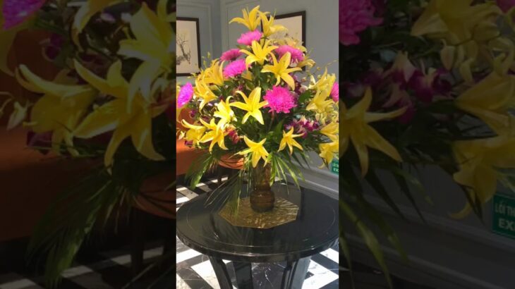 ベトナム旅行🇻🇳アナトール ホテル ハノイ✨ (Anatole Hotel Hanoi)ロビー🪷部屋🪷朝食バイキング🪷プール🪷2025/10　#AnatoleHotel #ハノイ旅行