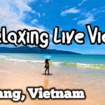 Vietnam ~ Paradise Live: Da Nang Beach in Real Time