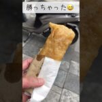 【ベトナム旅行🇻🇳９日目】【ハノイ着！】極上炭火焼き鳥バインミーと伝説の「トレイストリート」を体験する日🇻🇳 #shorts