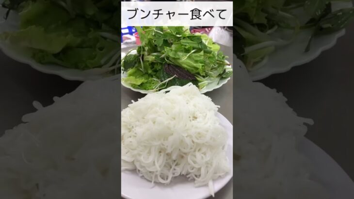 【ベトナム🇻🇳旅行１０日目】【聖地巡礼▶️デカ盛り】ドリアン克服!? 衝撃の巨大ビアホイ料理で一日が終わる🇻🇳 #shorts