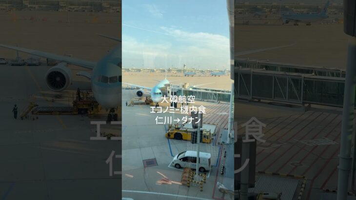 大韓航空・仁川空港からダナン空港行きのエコノミー機内食を紹介します#機内食#大韓航空#shorts