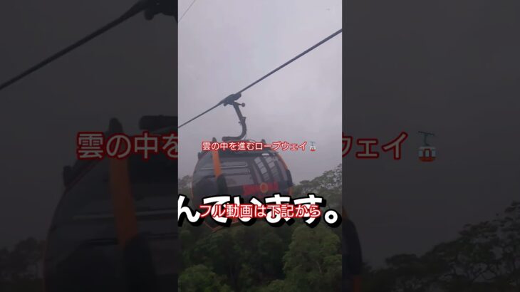 ベトナムのダナンのロープウェイは雲の中を突き進む #旅行 #trip #海外旅行 #ベトナム #ベトナム旅行 #travel #ダナン #ダナン旅行 #ロープウェイ