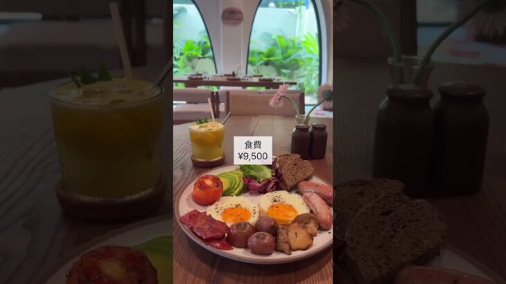 ３泊４日ベトナムひとり旅🇻🇳かかった費用を大公開！