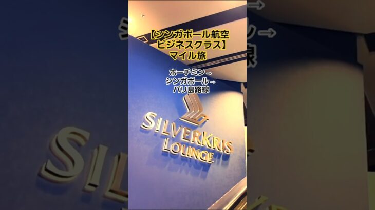【シンガポール航空ビジネスクラス】マイル旅　ホーチミン→シンガポール→バリ島