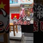 ベトナムハノイ🇻🇳ネズミと目が合ったんだけどさ… #ベトナム #ハノイ #ベトナム旅行 #ハロン湾