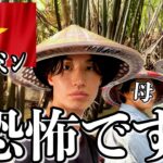 ベトナムで日本人が歩くとこうなります..【ホーチミン】