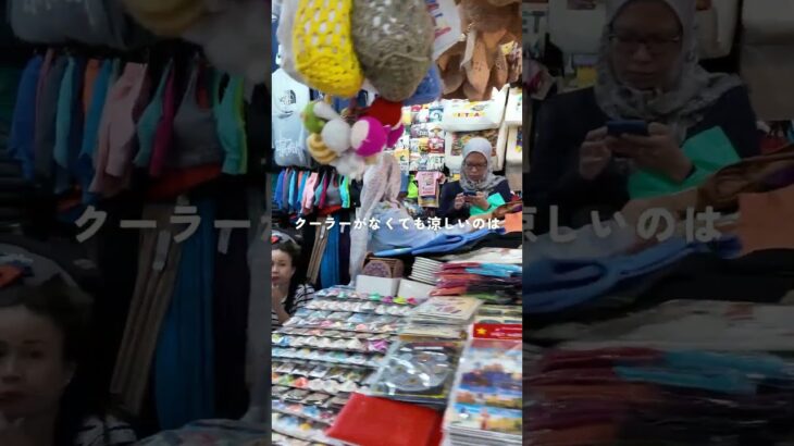 【世界一周】ホーチミンのベンタン市場で天井を見た！#世界一周 #ホーチミン旅行