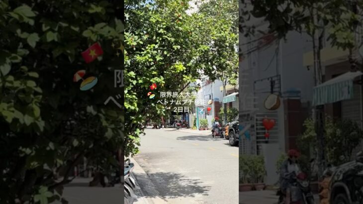 マンゴー丸齧りした日ベトナムニャチャンvlog #休日vlog #学生vlog #海外生活 #海外旅行 #ベトナム